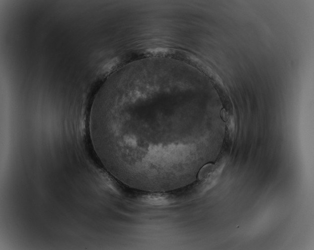 X0000088230668200705151454