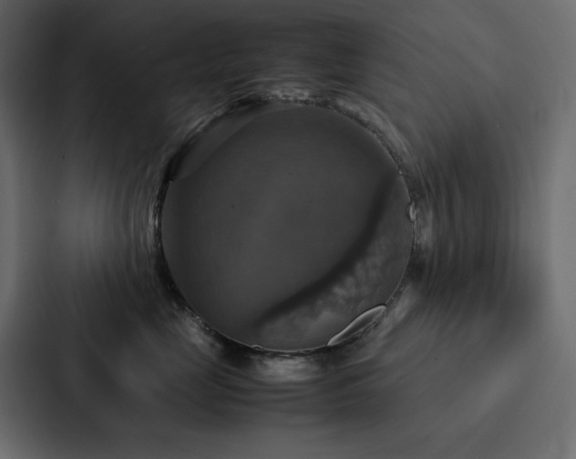 X0000088230669200705151454