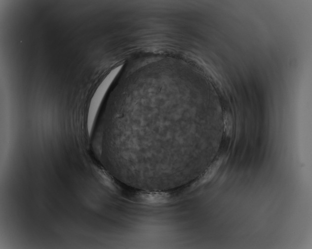 X0000088230670200705151454