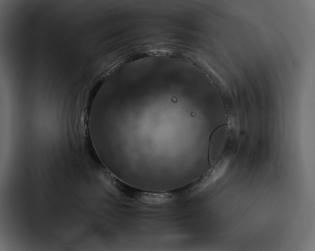 X0000088230671200705151454