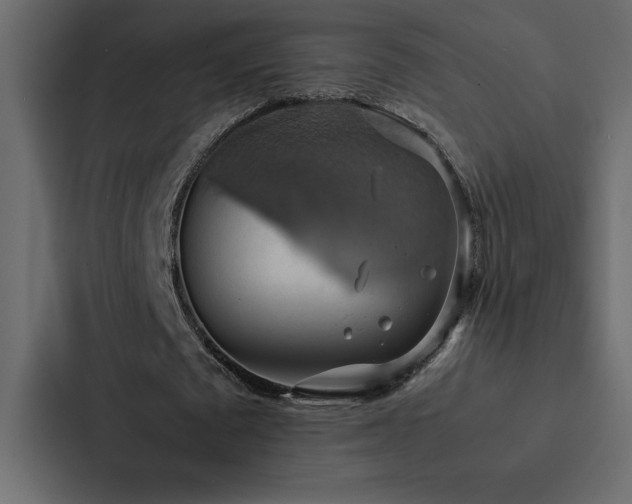X0000088230673200705151453