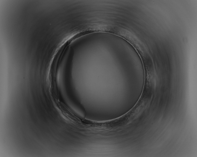 X0000088230674200705151453