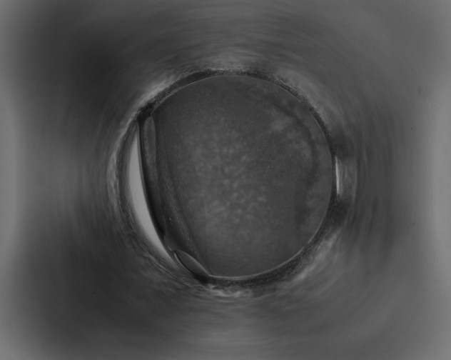 X0000088230675200705151453