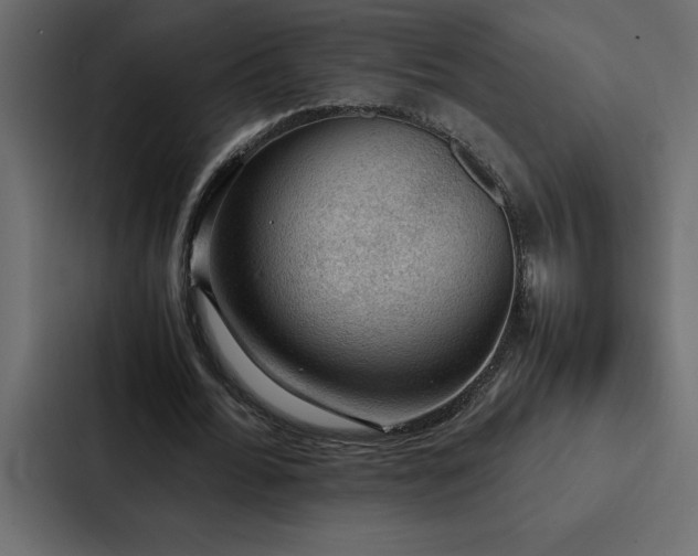 X0000088230676200705151453