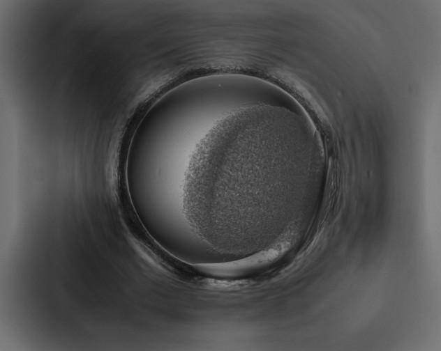 X0000088230677200705151453