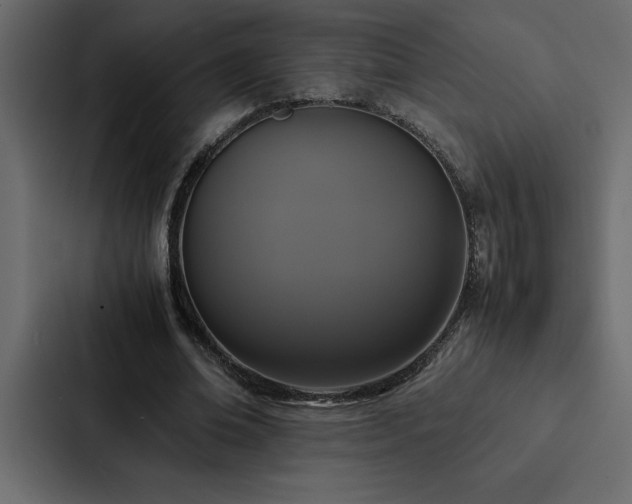 X0000088230678200705151453