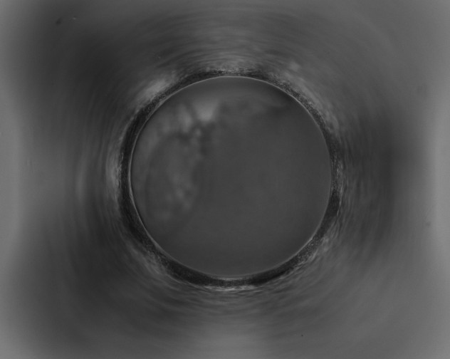 X0000088230679200705151453