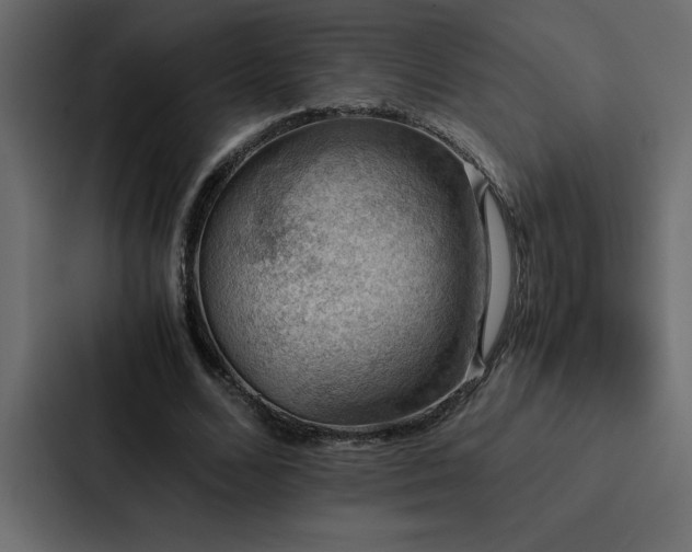 X0000088230680200705151453