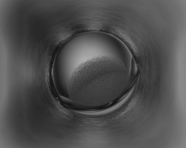 X0000088230681200705151453