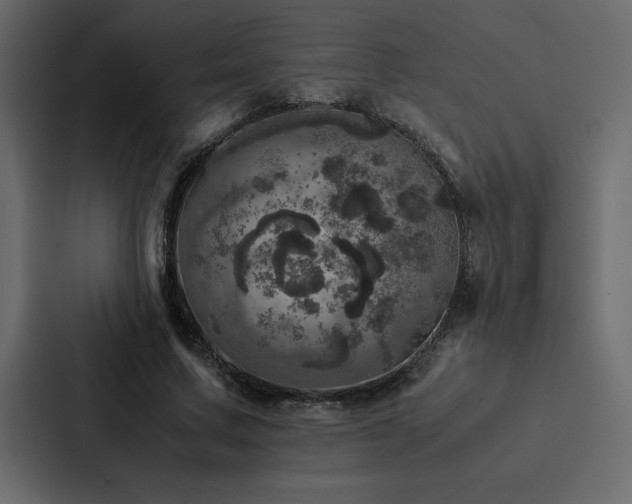 X0000088230683200705151453