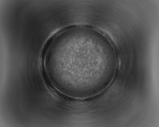 X0000088230684200705151453