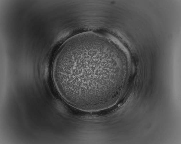X0000088230685200705151453