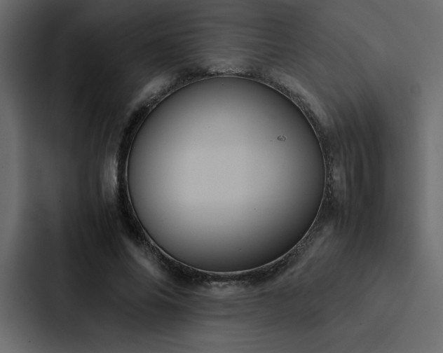 X0000088230686200705151453