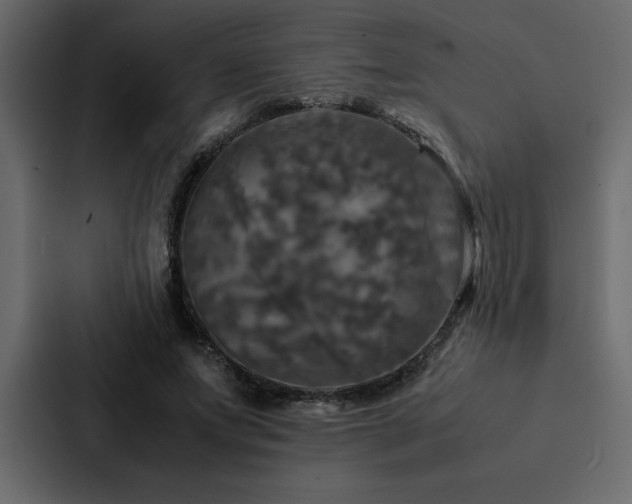 X0000088230687200705151453