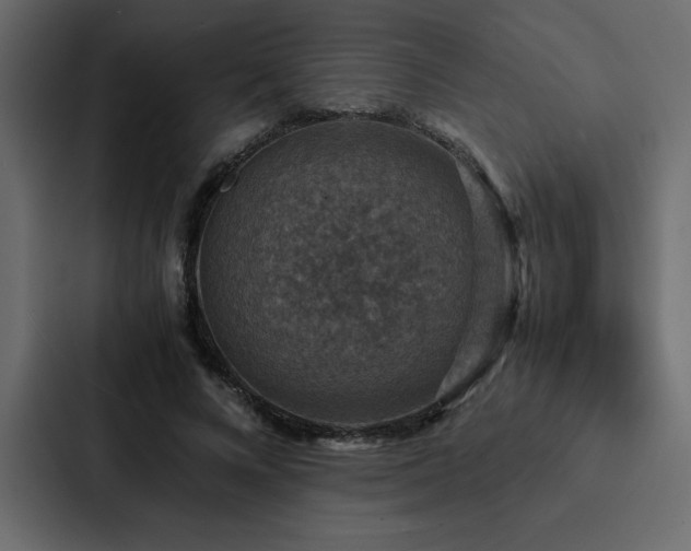 X0000088230688200705151453