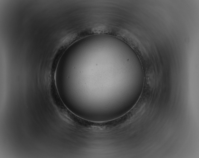 X0000088230690200705151453