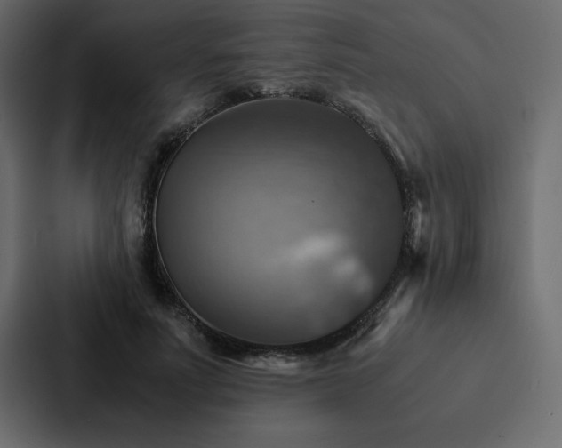 X0000088230691200705151453