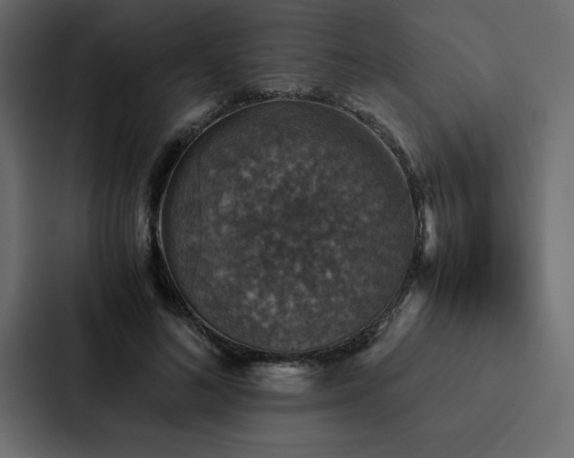 X0000088230692200705151453
