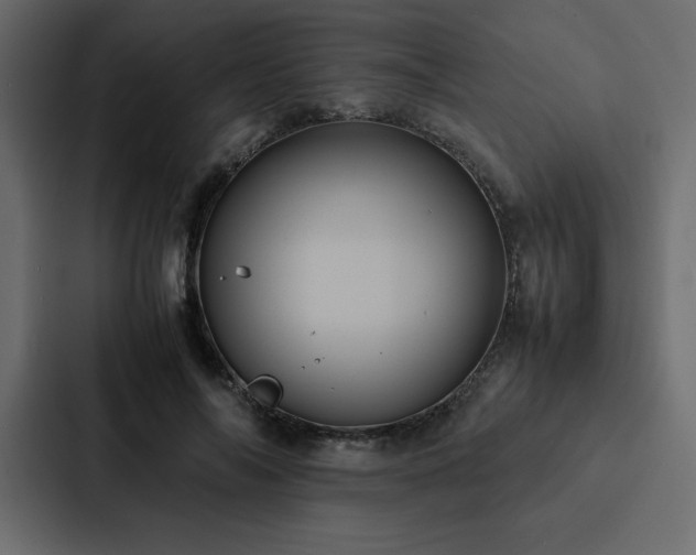 X0000088230694200705151453