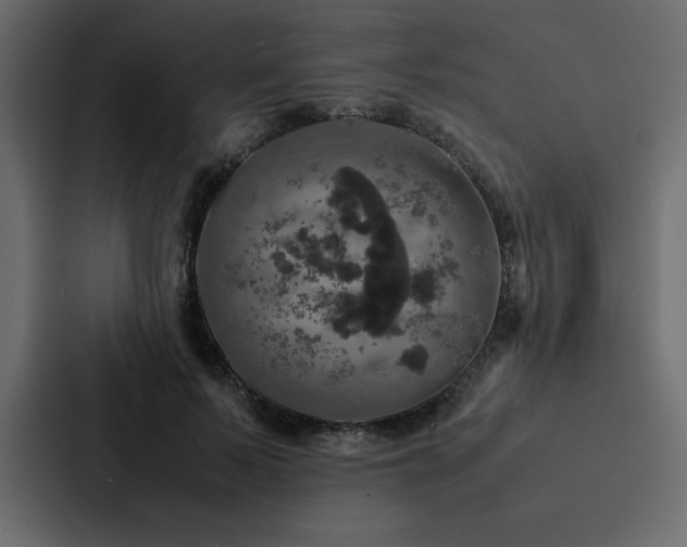 X0000088230695200705151453