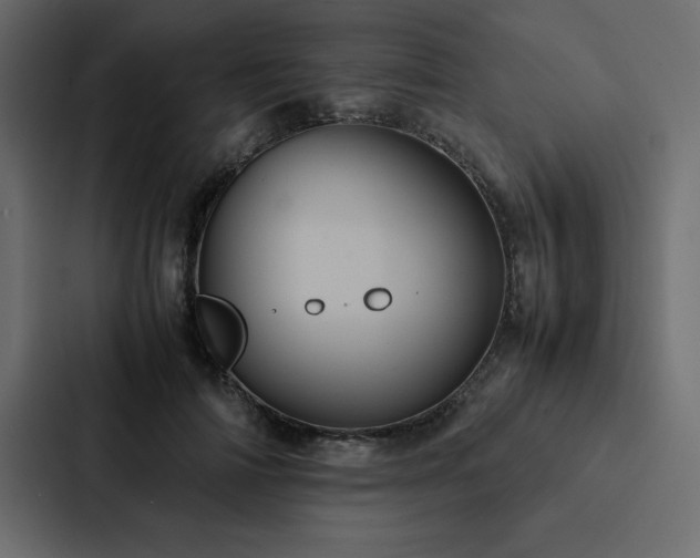X0000088230698200705151453