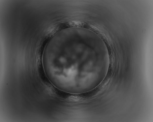 X0000088230699200705151453