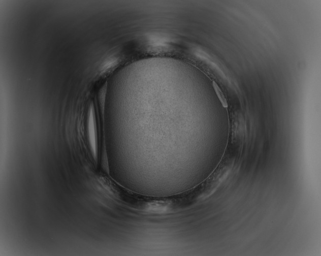 X0000088230700200705151453