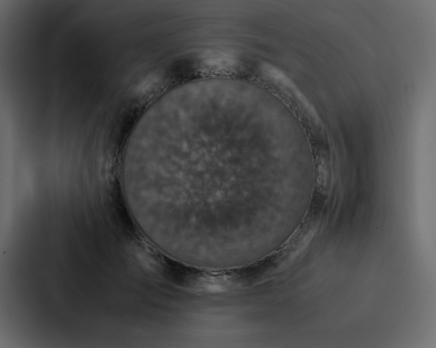 X0000088230701200705151453