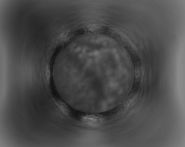 X0000088230703200705151453