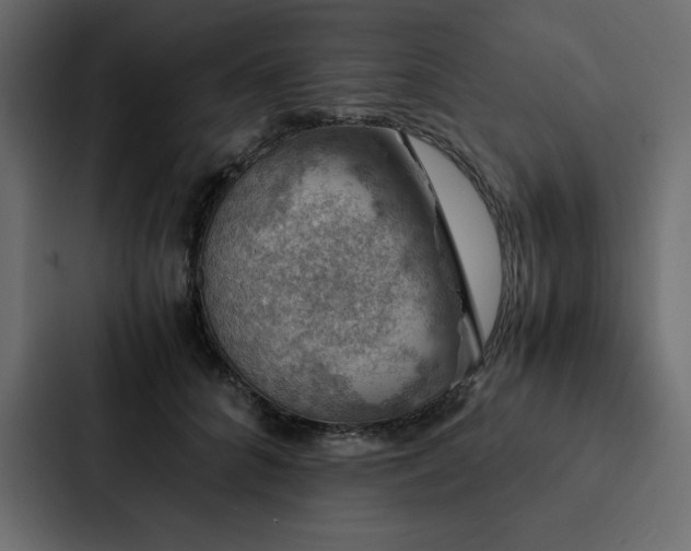 X0000088230704200705151453