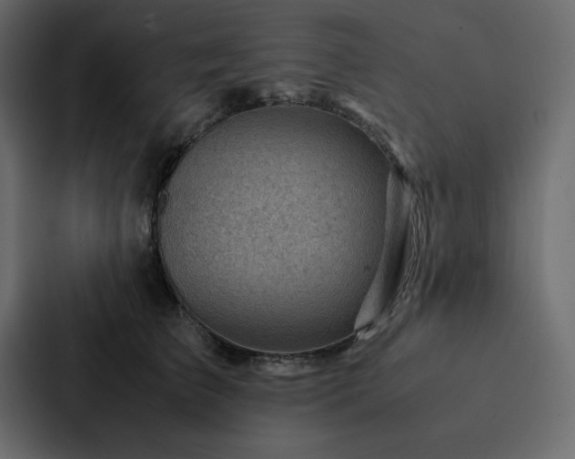 X0000088230709200705151453