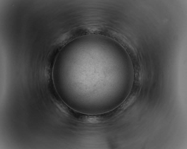 X0000088230710200705151453