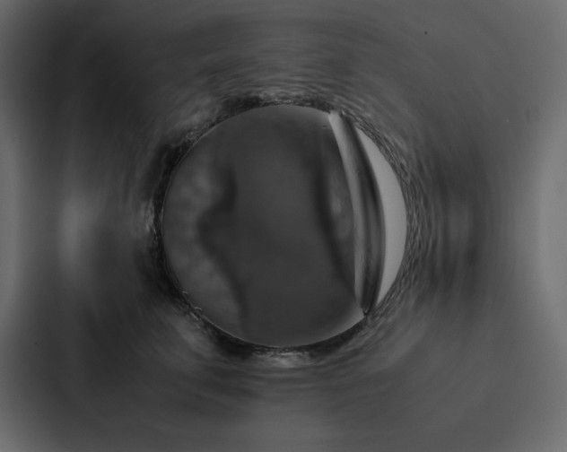 X0000088230711200705151453