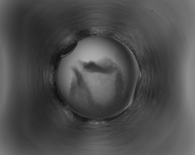 X0000088230712200705151453