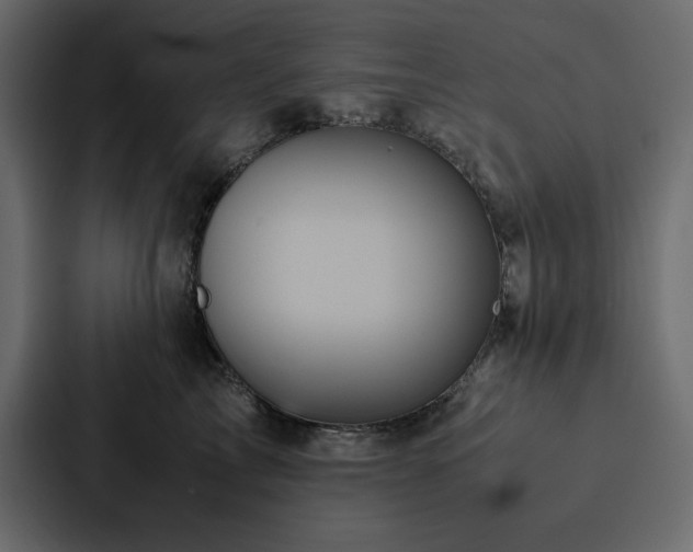 X0000088230713200705151453