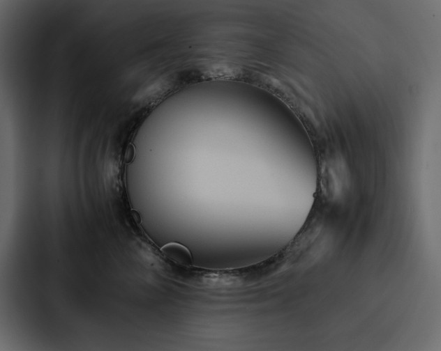 X0000088230714200705151453