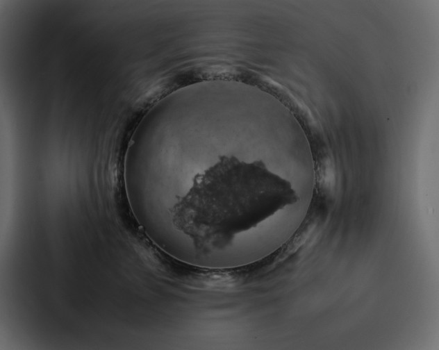 X0000088230715200705151453