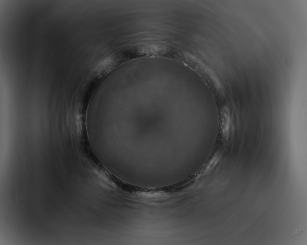 X0000088230716200705151453