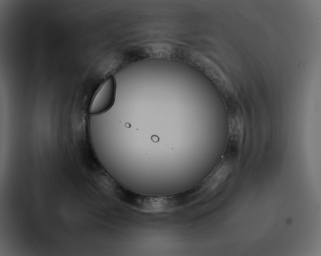 X0000088230717200705151453