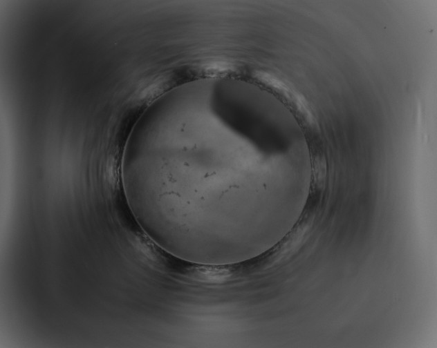 X0000088230719200705151453