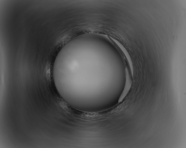 X0000088230720200705151453