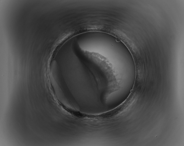 X0000088230721200705151452