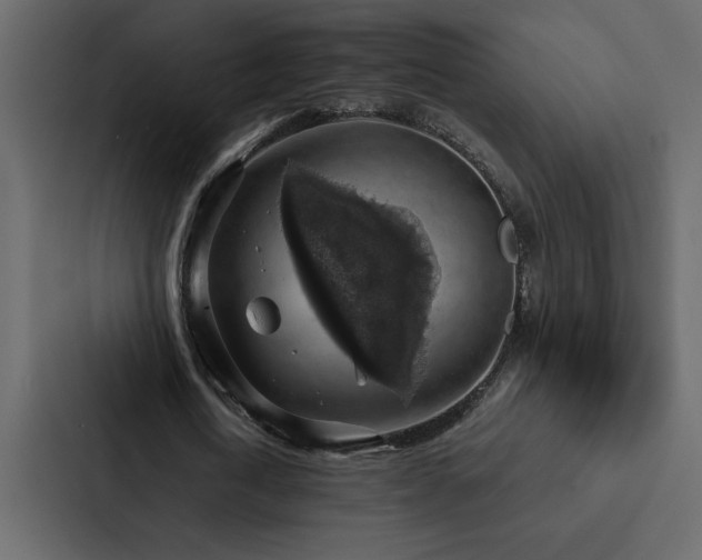 X0000088230722200705151452
