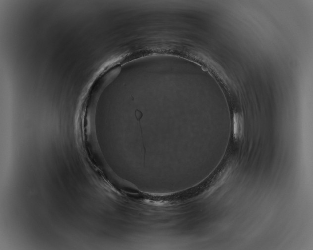 X0000088230723200705151452