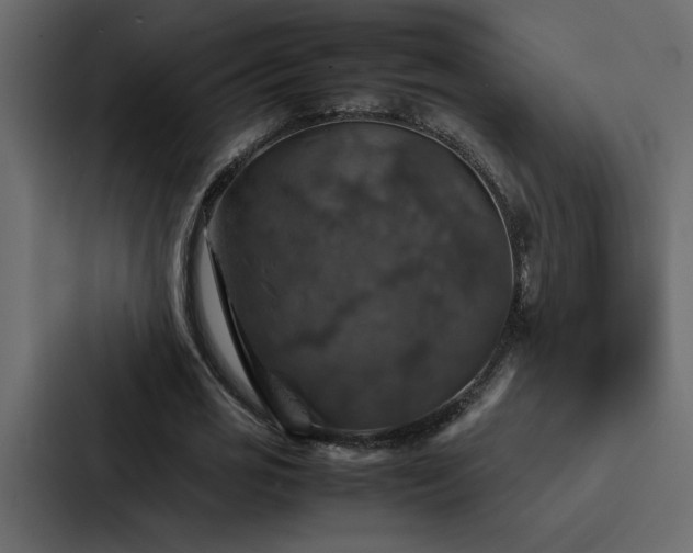 X0000088230725200705151452