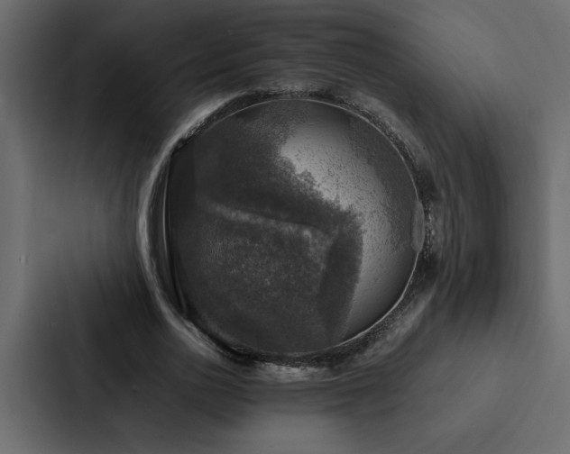 X0000088230726200705151452