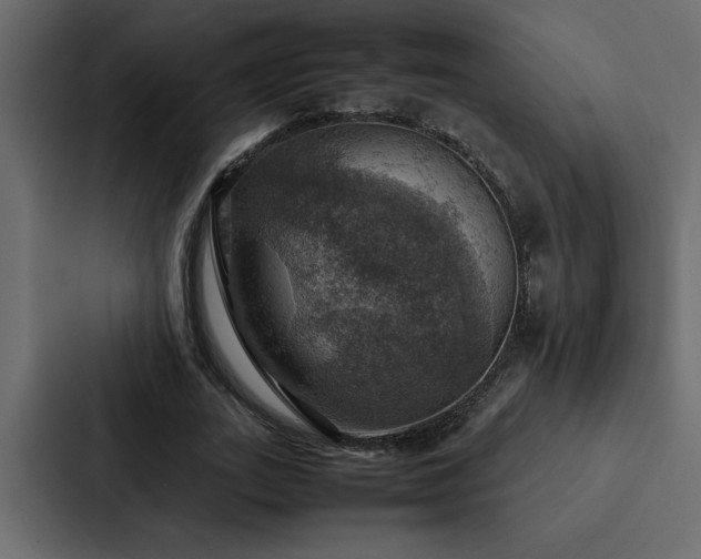 X0000088230727200705151452