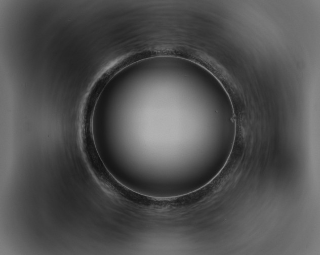 X0000088230728200705151452