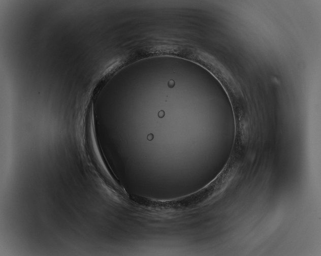 X0000088230729200705151452