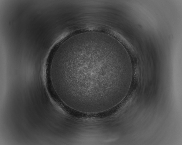 X0000088230730200705151452